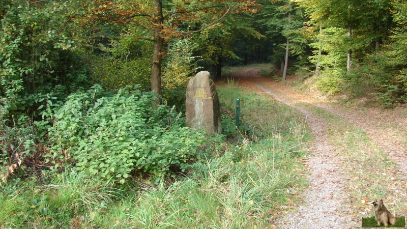 Ritterstein Nr. 134-6 Balkenbrunnen 160 Schr..JPG - Ritterstein Nr.134  Balkenbrunnen 160 Schr.                               